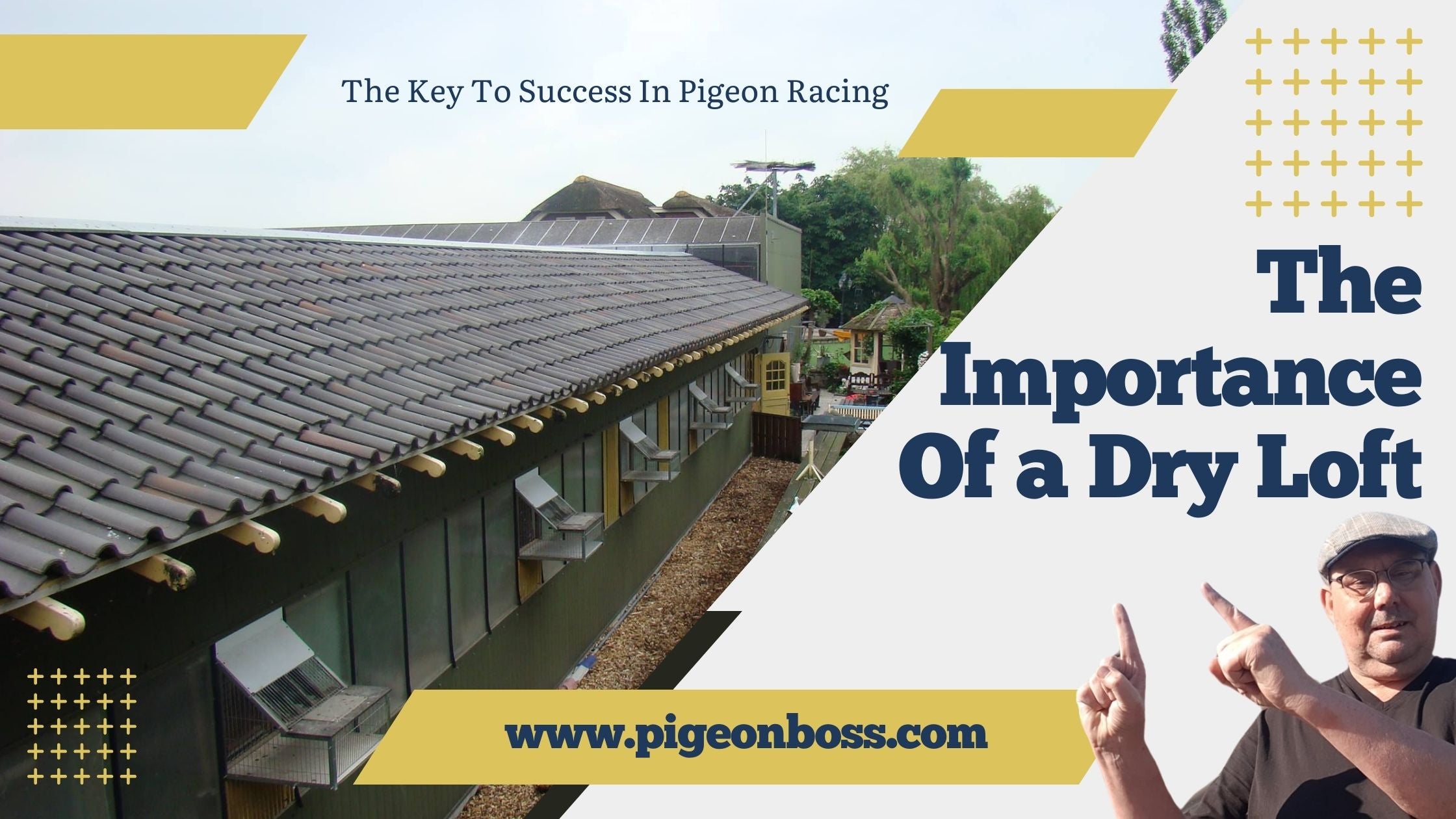 The Importance of Dry Lofts: The Key to Success in Pigeon Racing