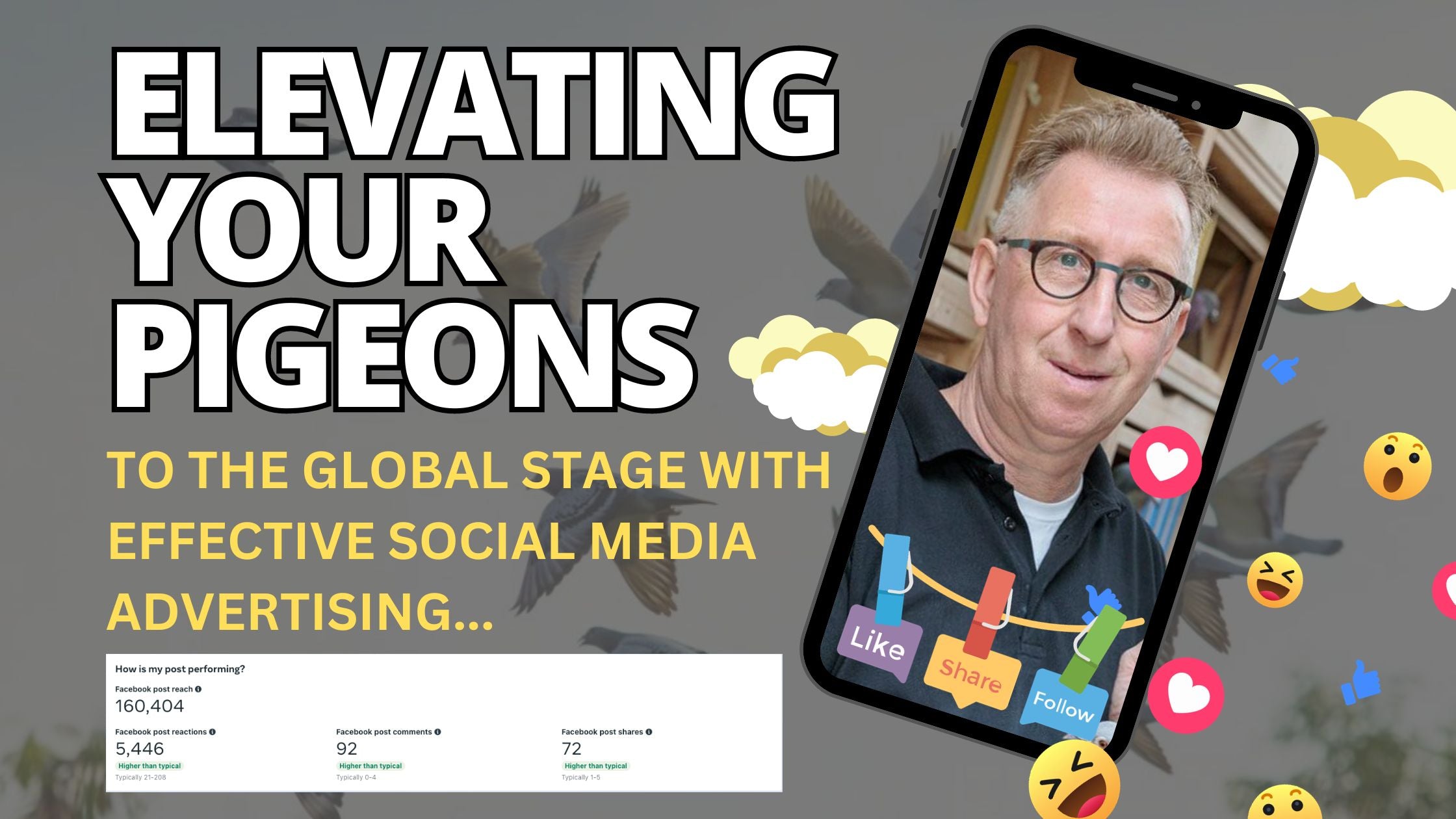 Elevating Your Pigeons to the Global Stage with Effective Social Media Advertising