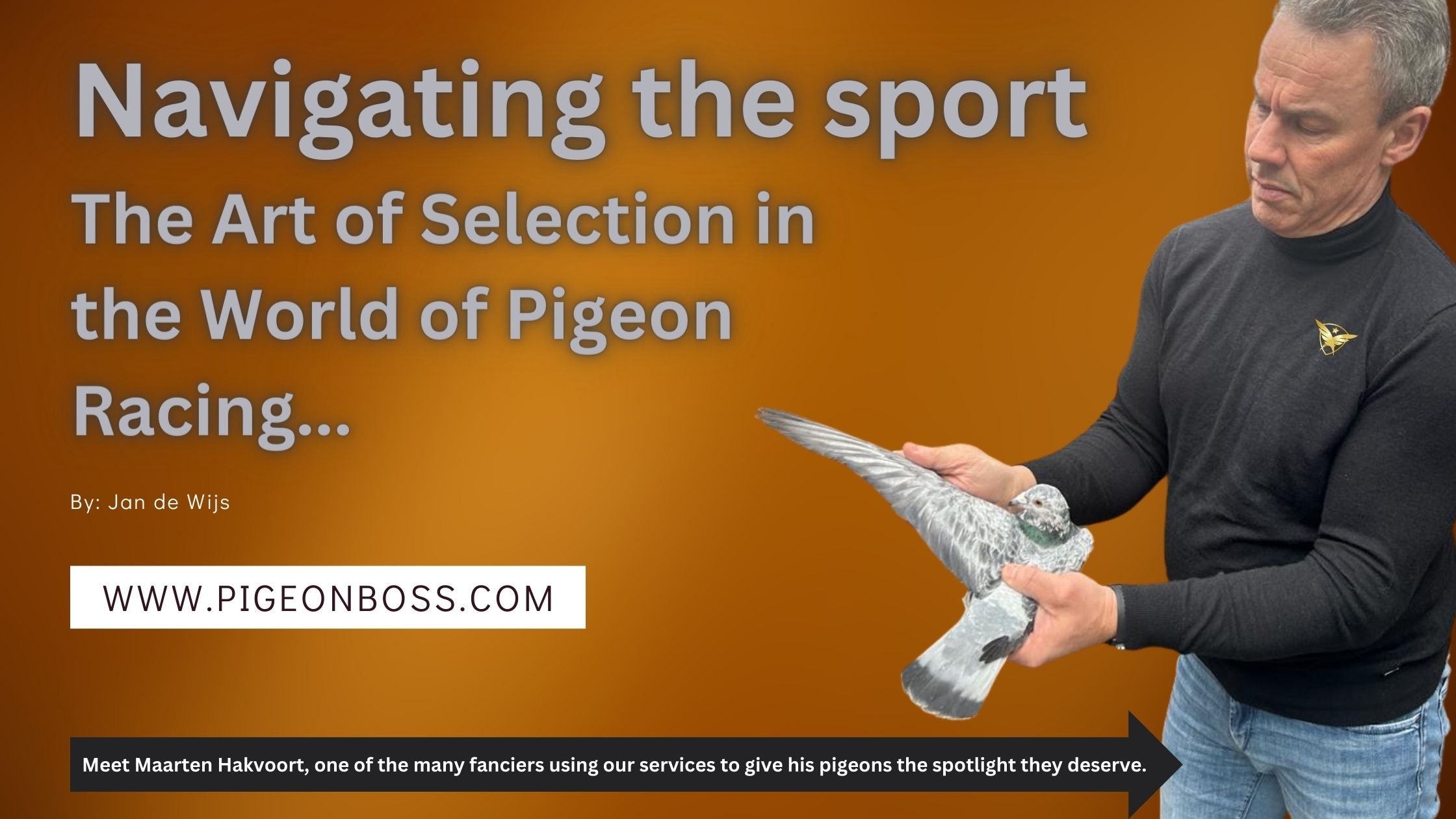 Navigating the Sport: The Art of Selection in the World of Pigeon Racing