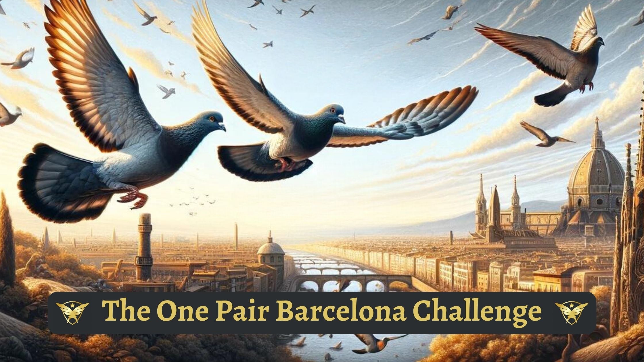 The One Pair Barcelona Challenge: Revolutionizing Pigeon Racing with Dedication and Strategy