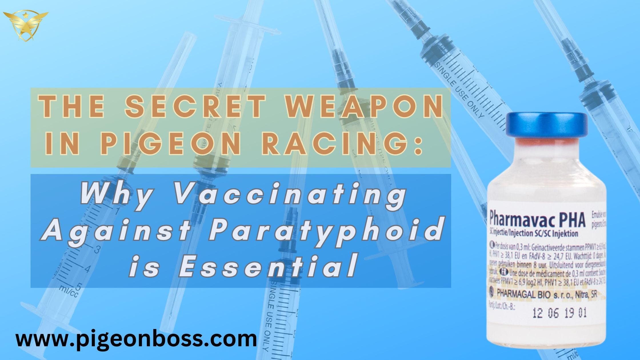 The Secret Weapon in Pigeon Racing: Why Vaccinating Against Paratyphoid is Essential