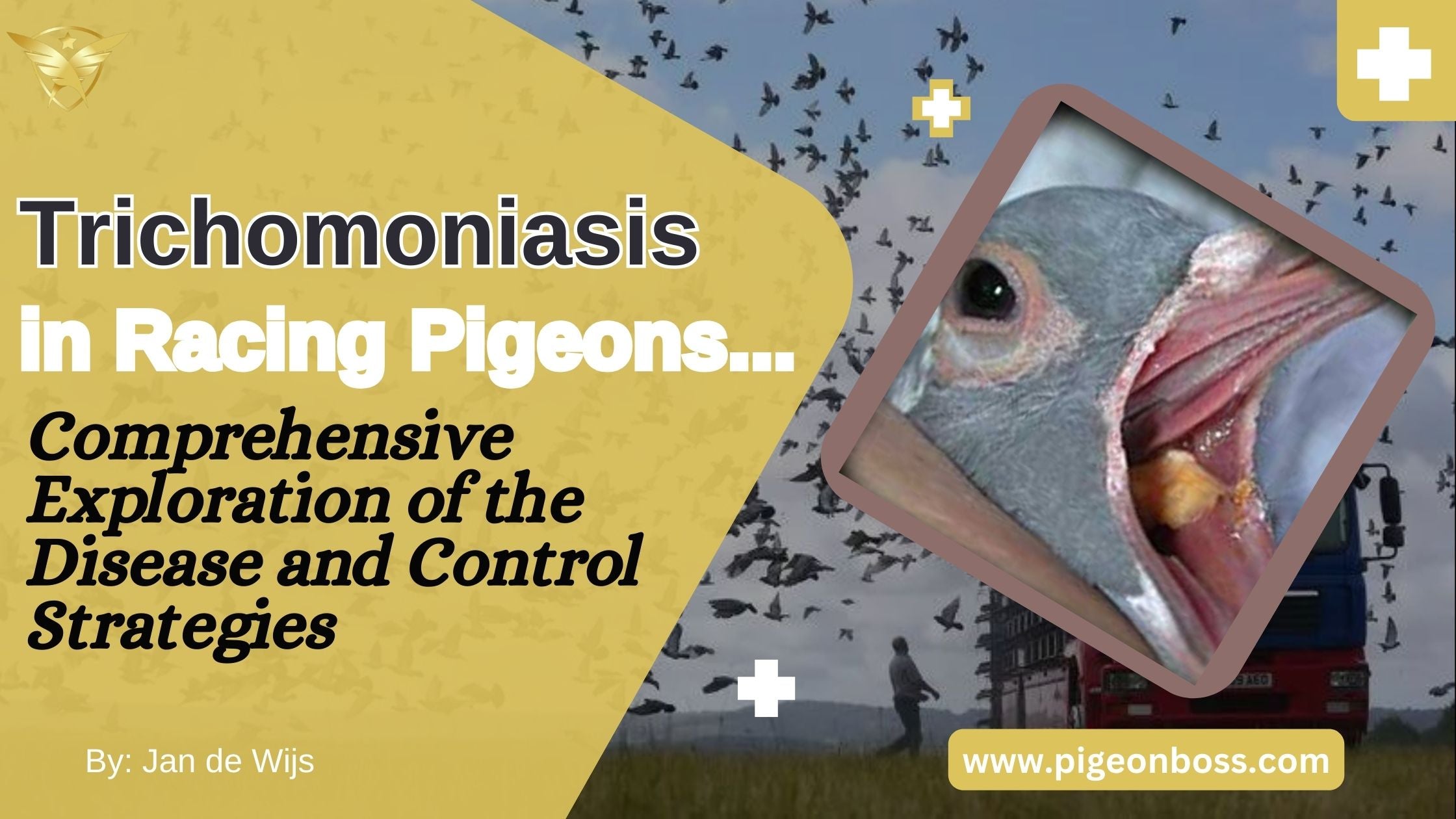 Trichomoniasis Gallinae in Racing Pigeons: A Comprehensive Exploration of the Disease and Control Strategies