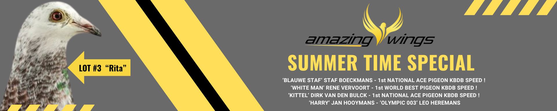 A promotional banner with a blue sky background and a yellow border, titled "SUMMER TIME SPECIAL" in large yellow capital letters. The text announces a pigeon racing event or auction running from 4 to 21 June 2026, ending at 2 pm (14.00 Uhr). It highlights legendary champion pigeons and breeders: 'Blauwe Staf' by Staf Boeckmans (1st National Ace Pigeon KBDB Speed), 'White Man' by Rene Vervoort (1st World Best Pigeon KBDB Speed), 'Kittel' by Dirk Van Den Bulck (1st National Ace Pigeon KBDB Speed), 'Harry' by Jan Hooymans, and 'Olympic 003' by Leo Heremans.