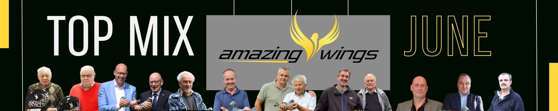 Amazing Wings, Racing Pigeon Auction, Top Mix June