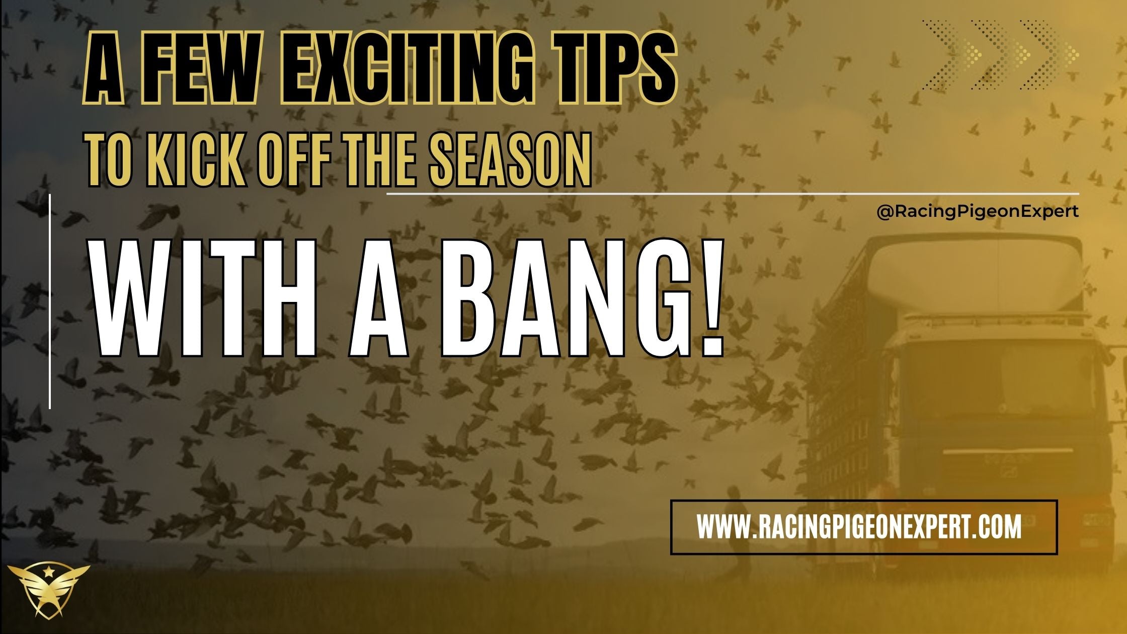 A Few Exciting tips to kick off the season with a bang!