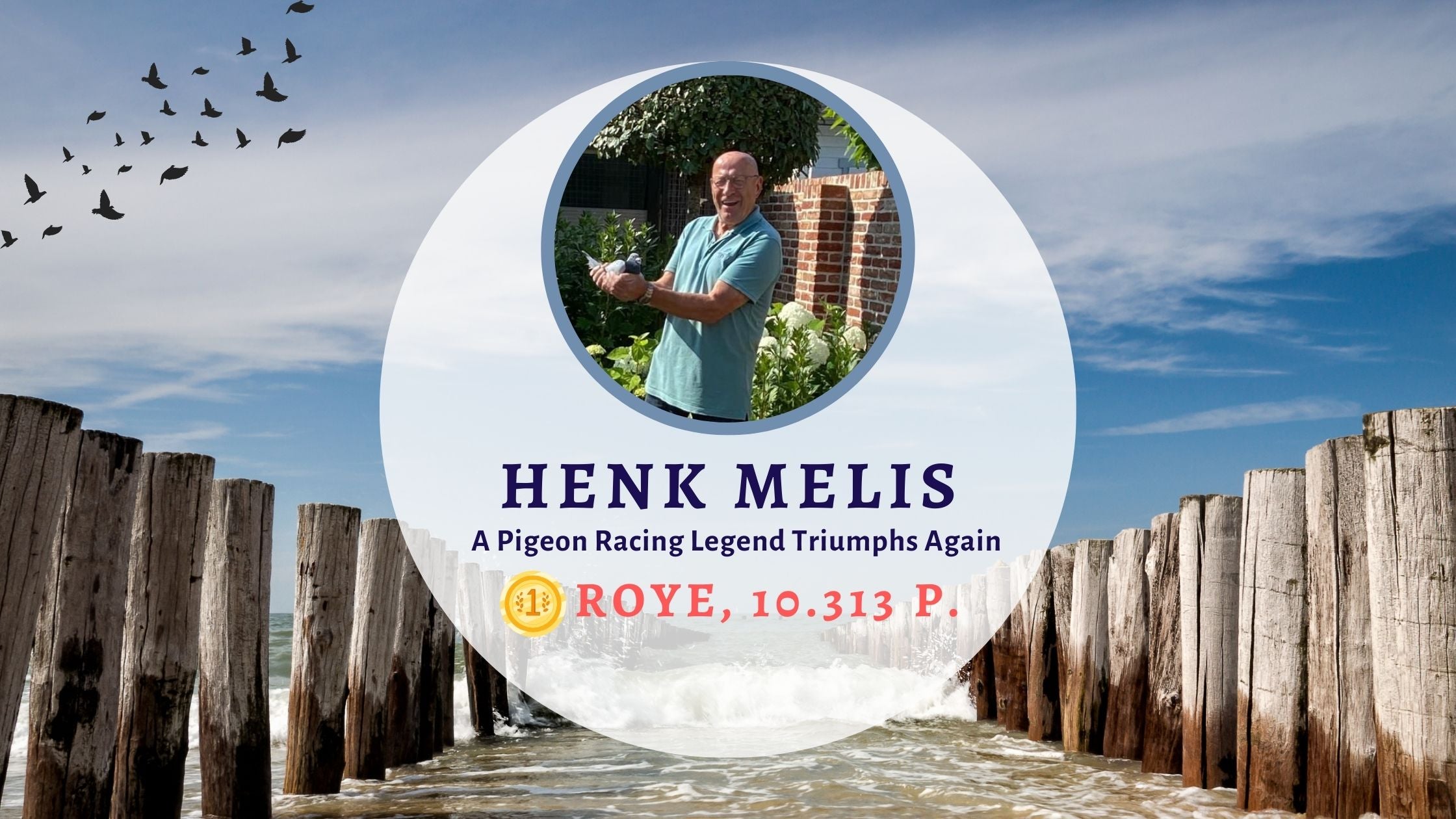 Henk Melis: A Pigeon Racing Legend Triumphs Again