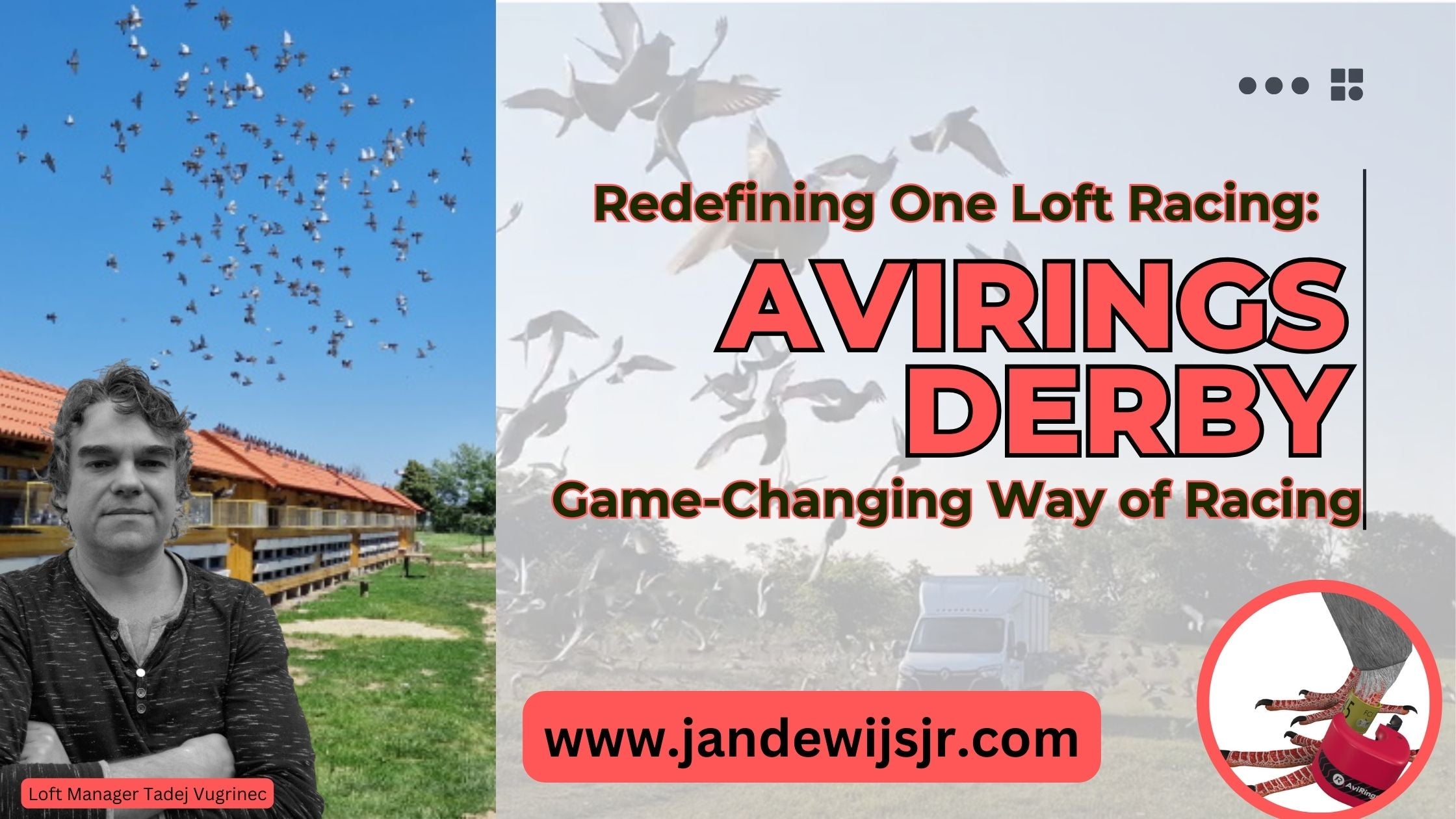 Redefining One Loft Racing: AviRings Derby's Game-Changing Way of Racing