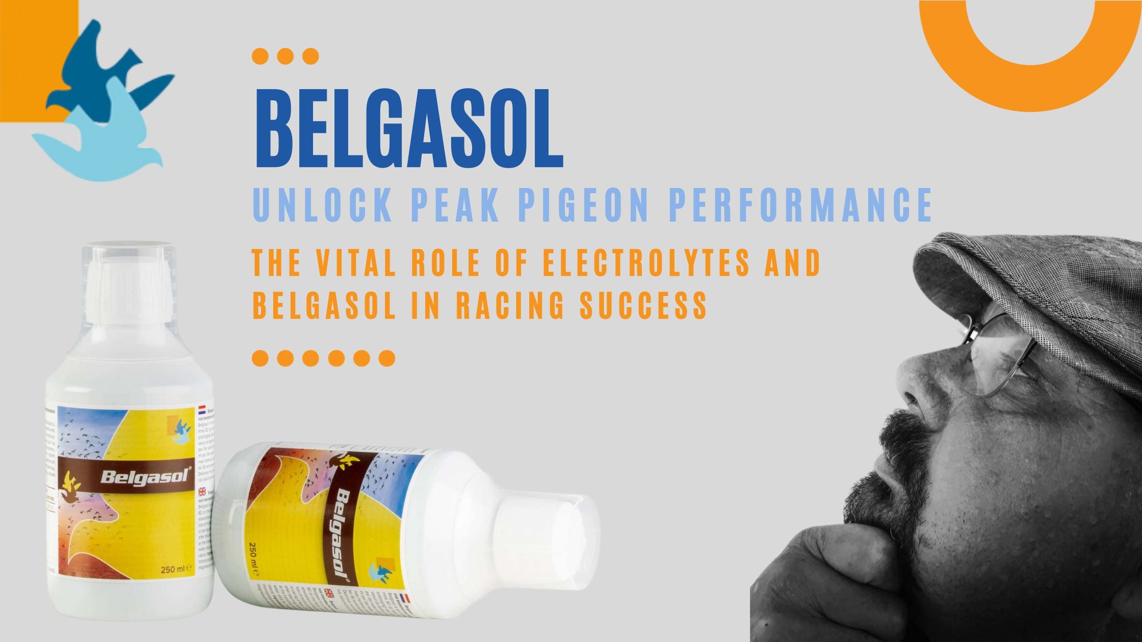 Unlock Peak Pigeon Performance: The Vital Role of Electrolytes and Belgasol in Racing Success
