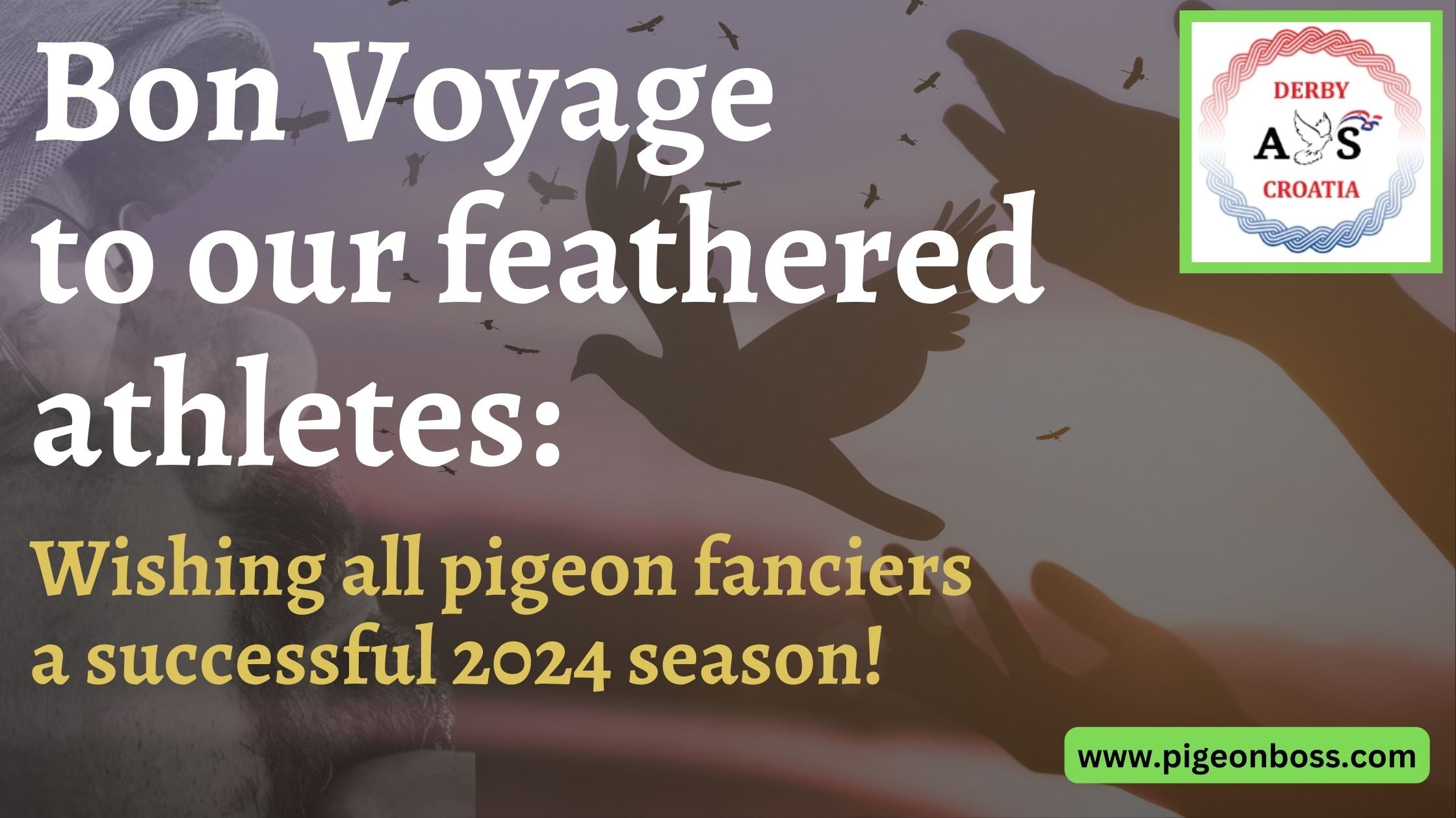 Bon Voyage to our feathered athletes: Wishing all pigeon-fanciers a successful 2024 season!