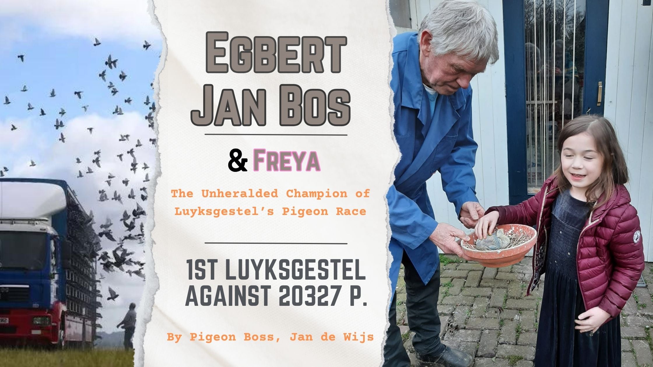 Egbert Jan Bos: The Unheralded Champion of Luyksgestel’s Pigeon Race