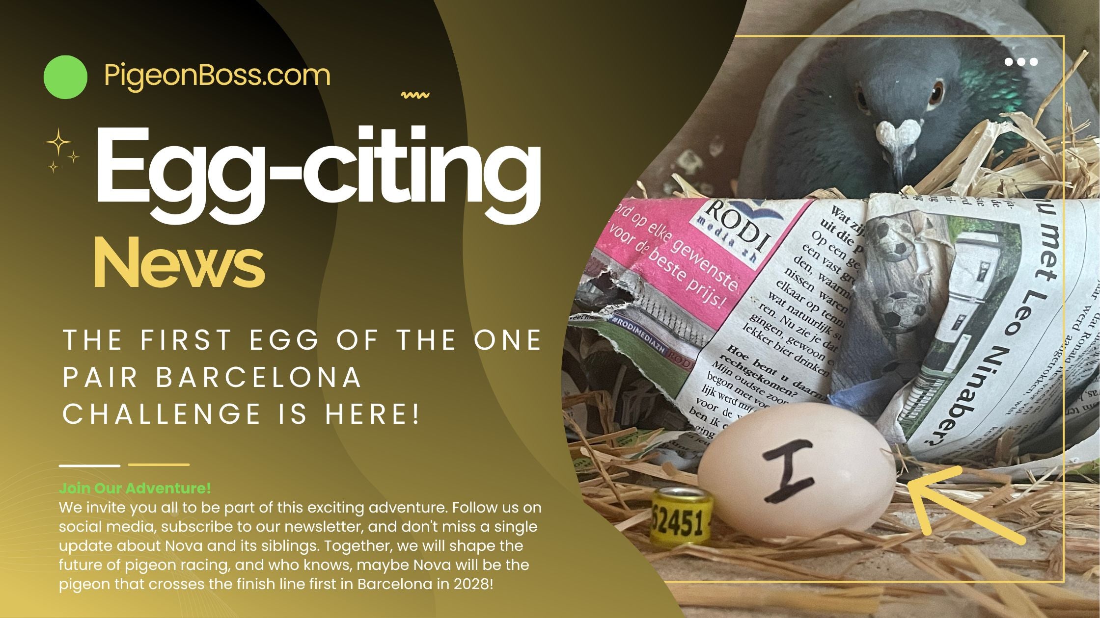 Egg-citing News: The First Egg of the One Pair Barcelona Challenge is Here!