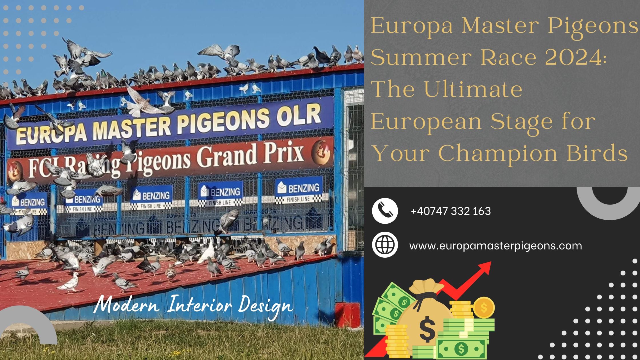 Europa Master Pigeons Summer Race 2024: The Ultimate European Stage for Your Champion Birds
