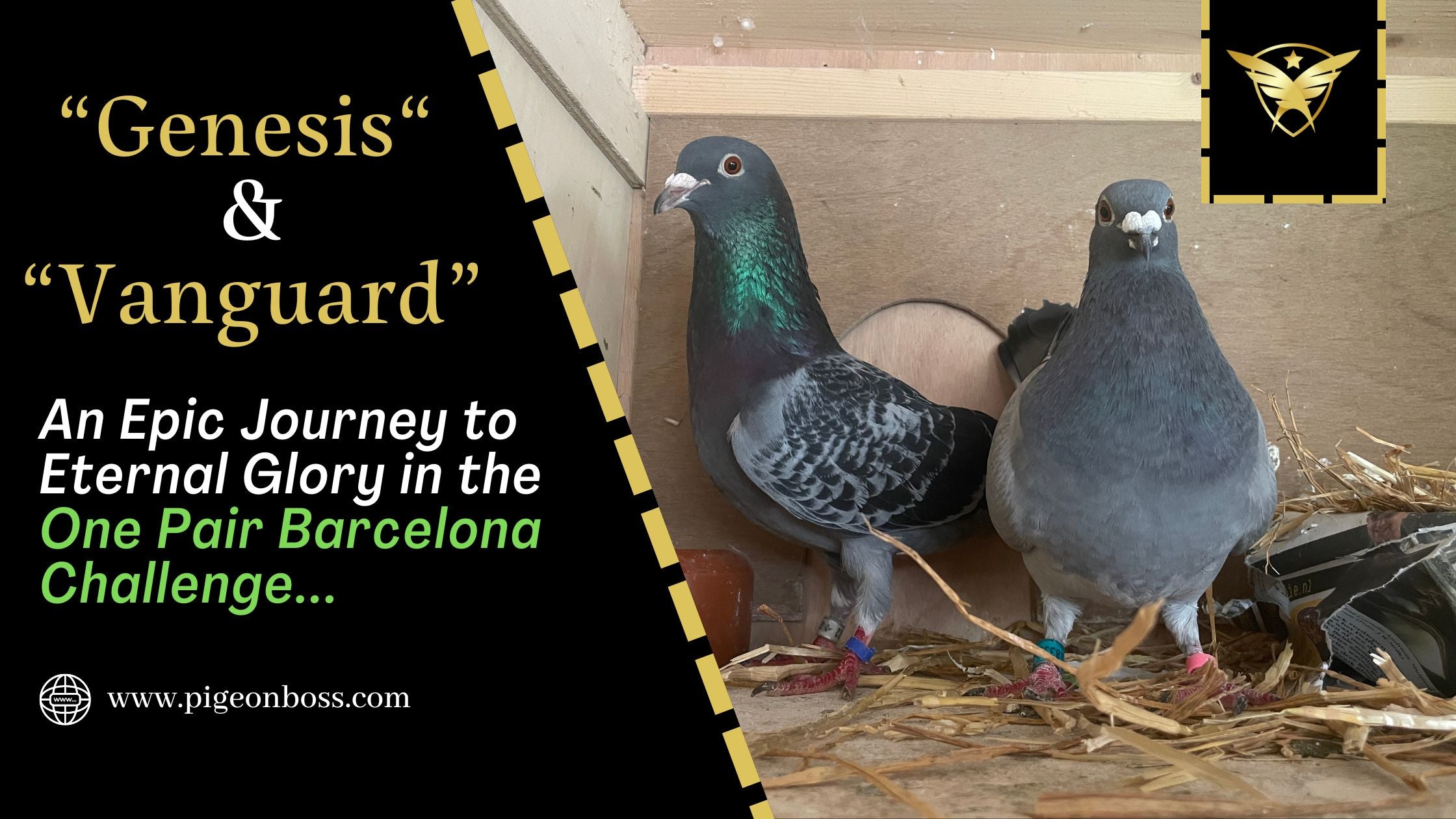 Genesis & Vanguard: An Epic Journey to Eternal Glory in the One Pair Barcelona Challenge