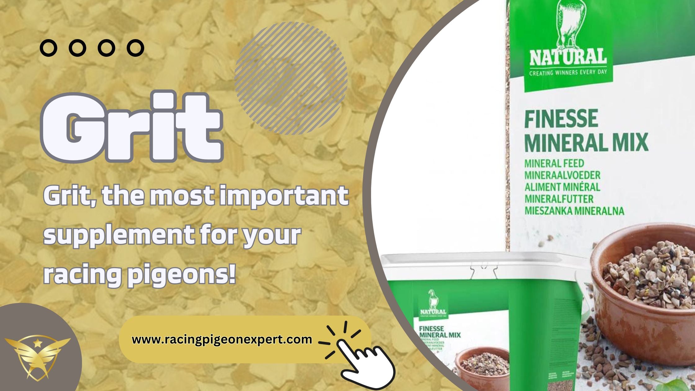 Grit, the most important supplement for your racing pigeons!