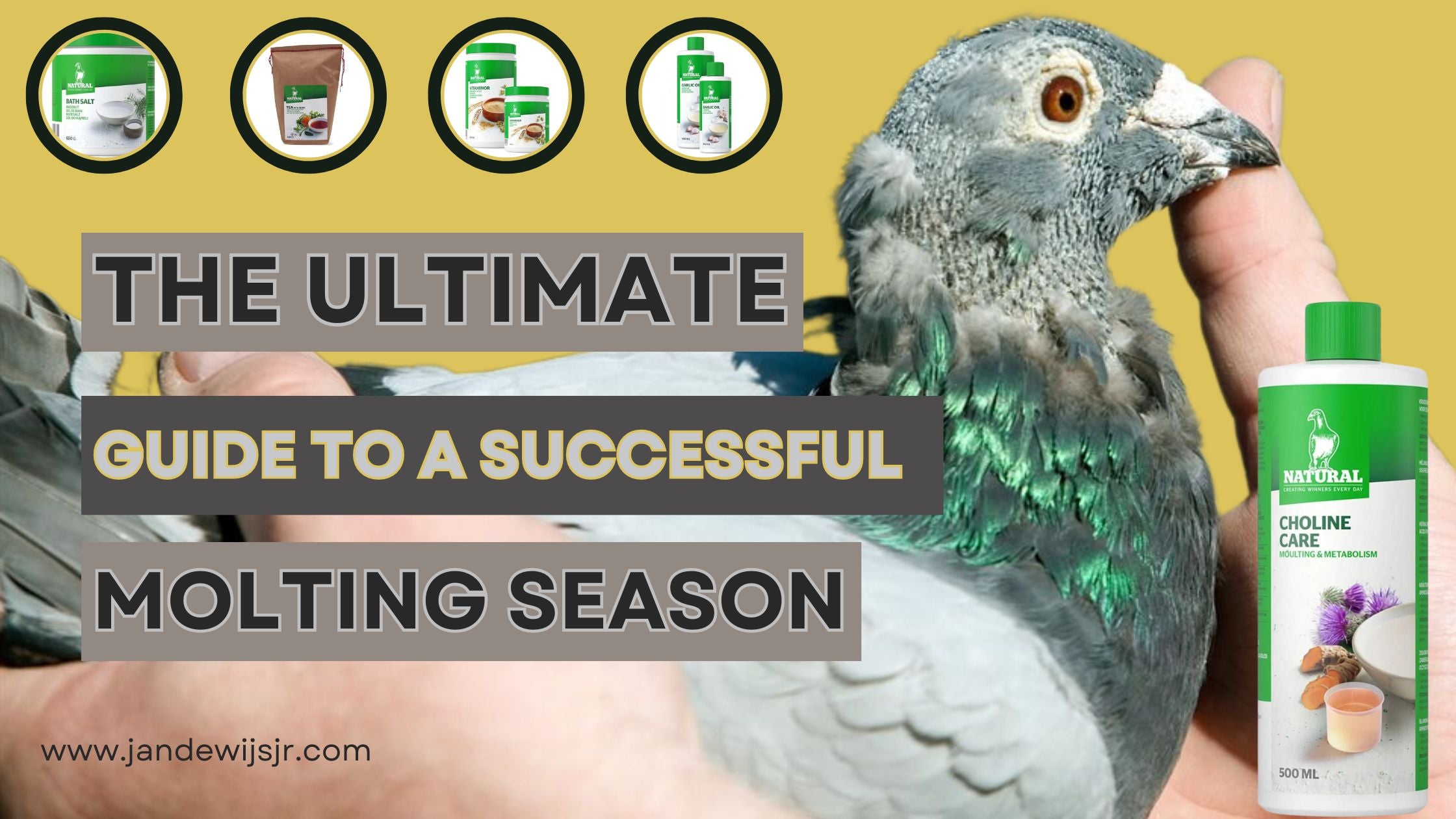 The Ultimate Guide to a Successful Molting Season