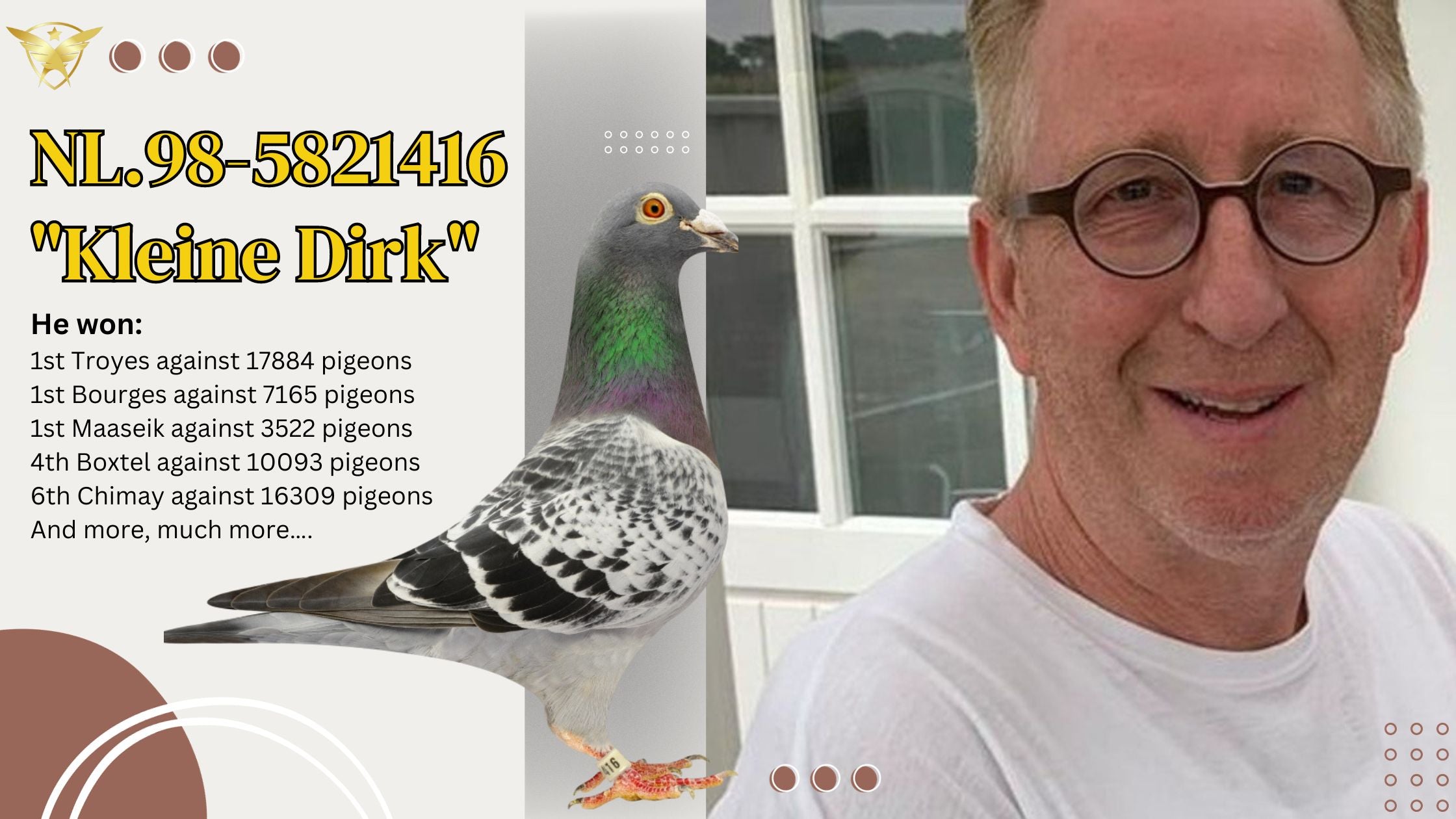 "Kleine Dirk":  The Magnificent Racing Pigeon from Gerard Koopman