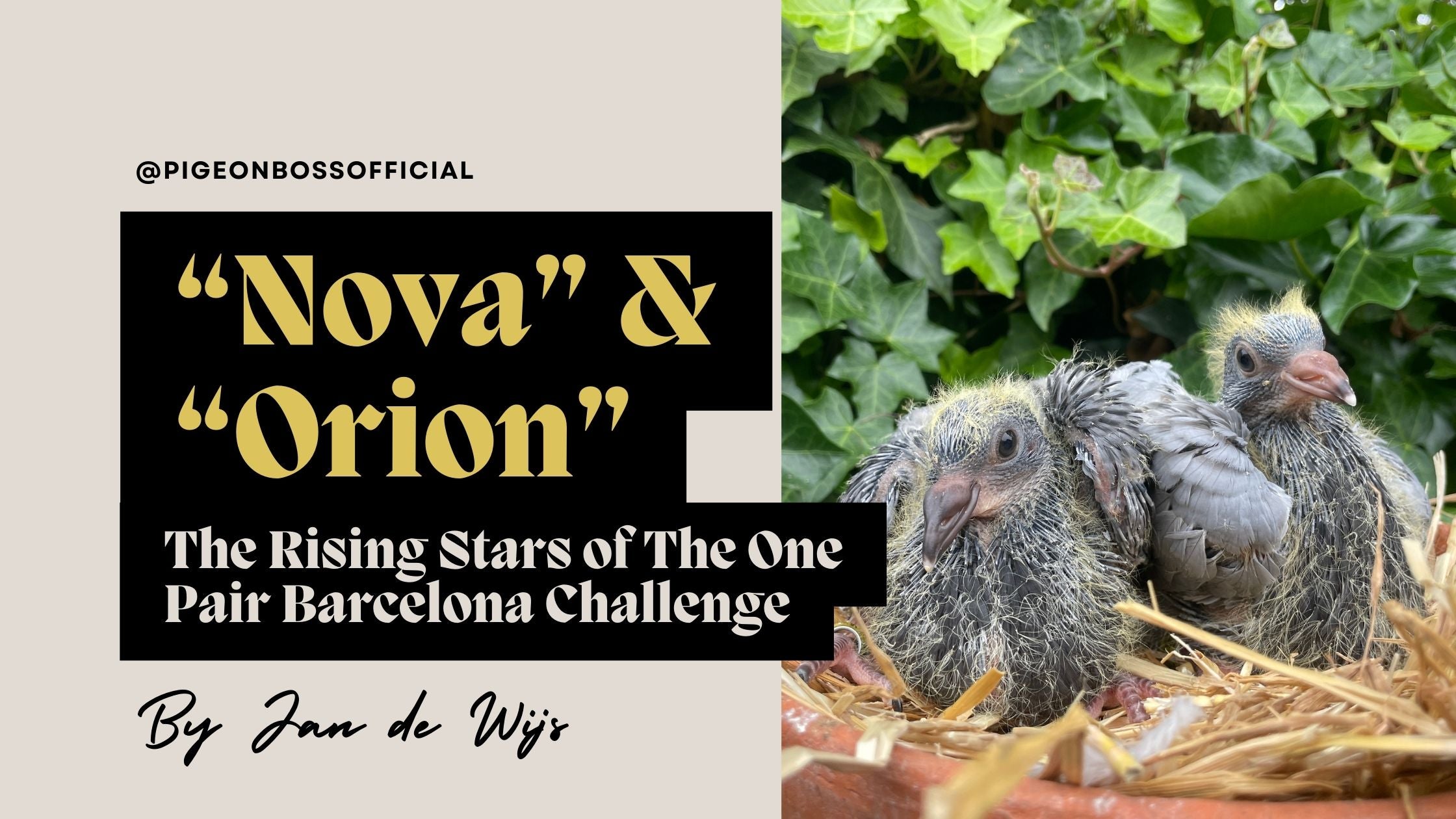 Nova and Orion: The Rising Stars of The One Pair Barcelona Challenge