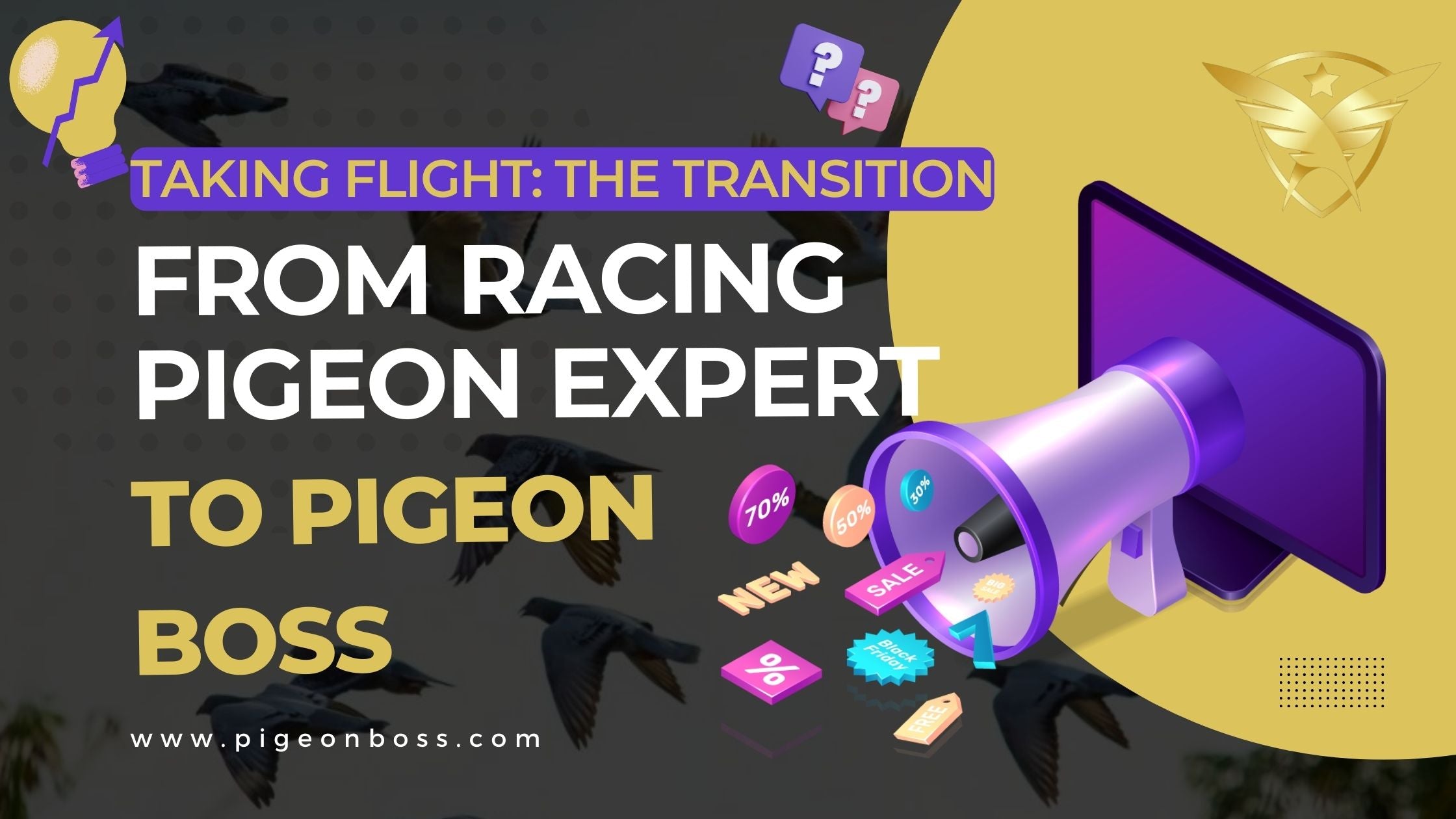 Taking Flight: The Transformation from Racing Pigeon Expert to Pigeon Boss