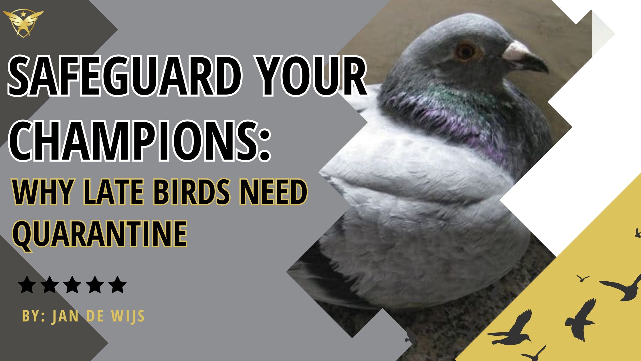 Safeguard Your Champions: Why Late Birds Need Quarantine