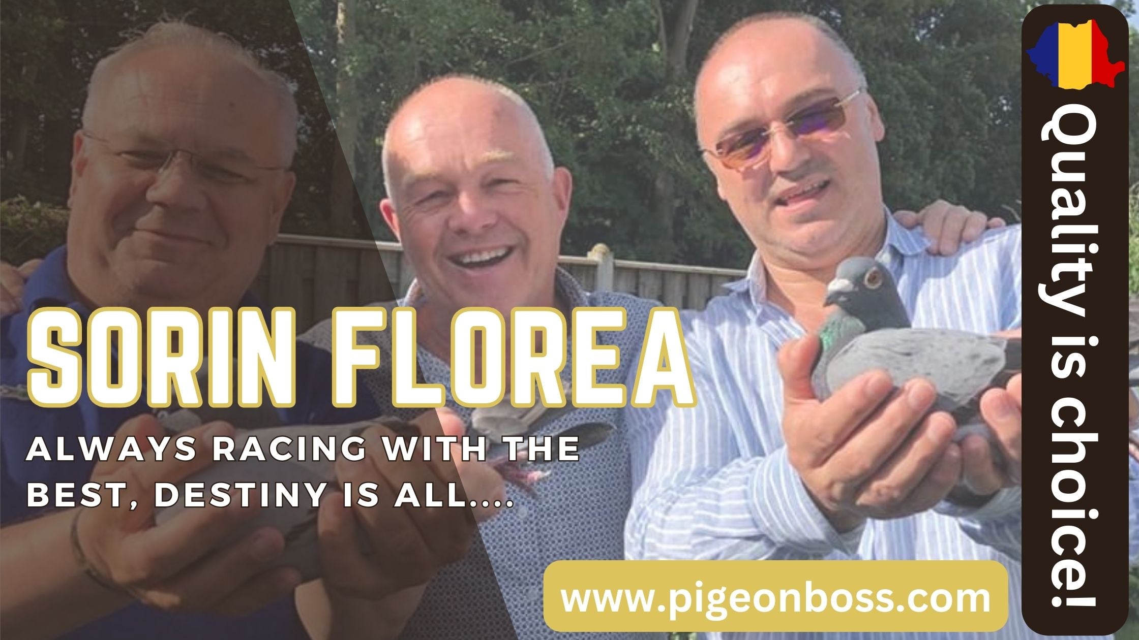 Florea Sorin – The Heartbeat of Romania’s Racing Pigeon Fervor