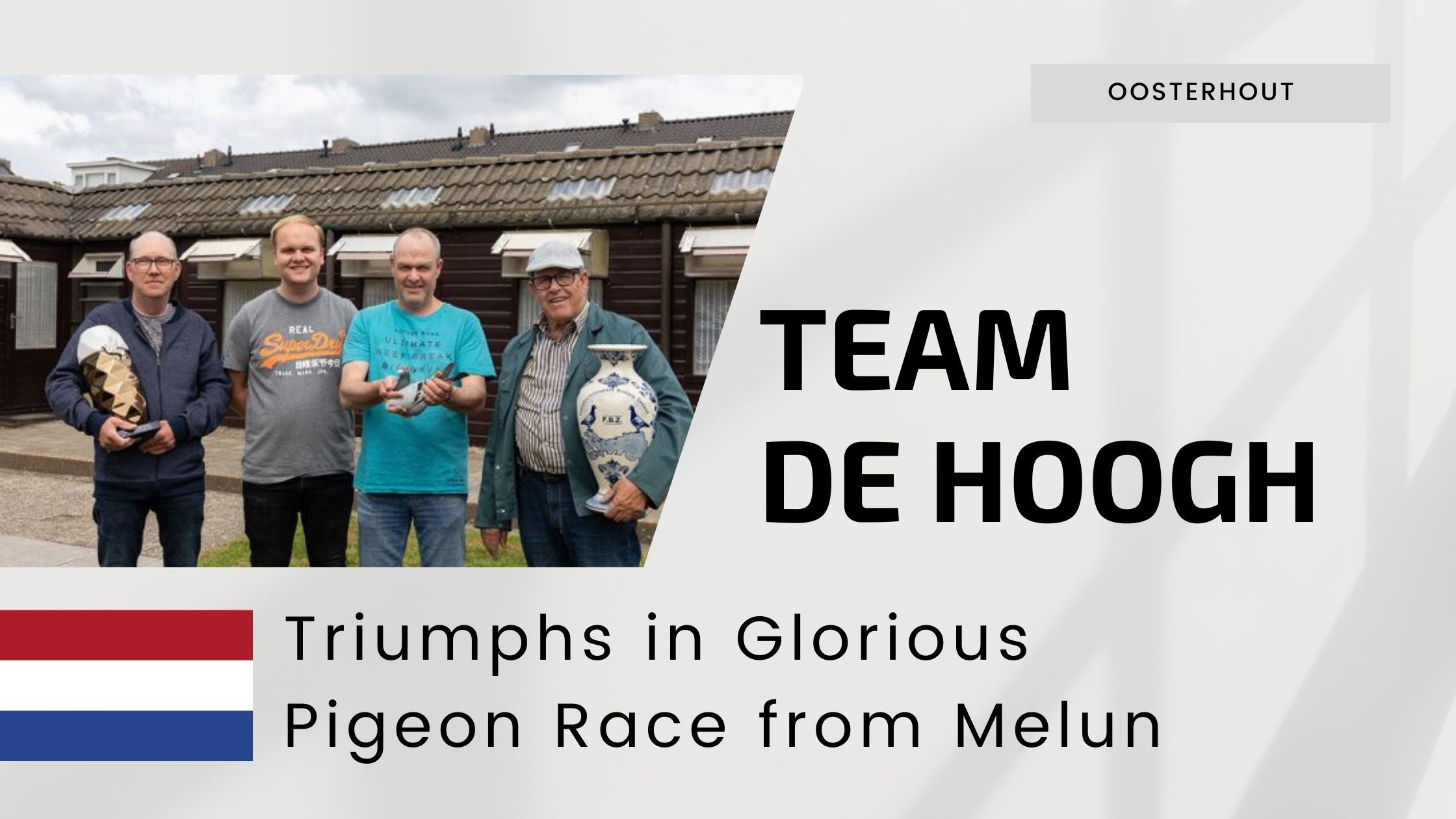 Team de Hoogh Triumphs in Glorious Pigeon Race from Melun