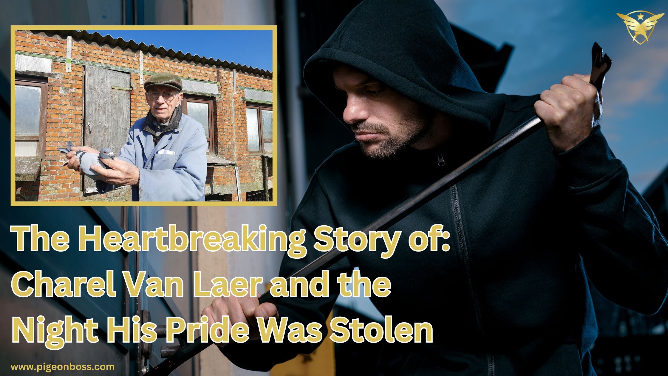 We'll Tell You: The Heartbreaking Story of Charel Van Laer and the Night His Pride Was Stolen