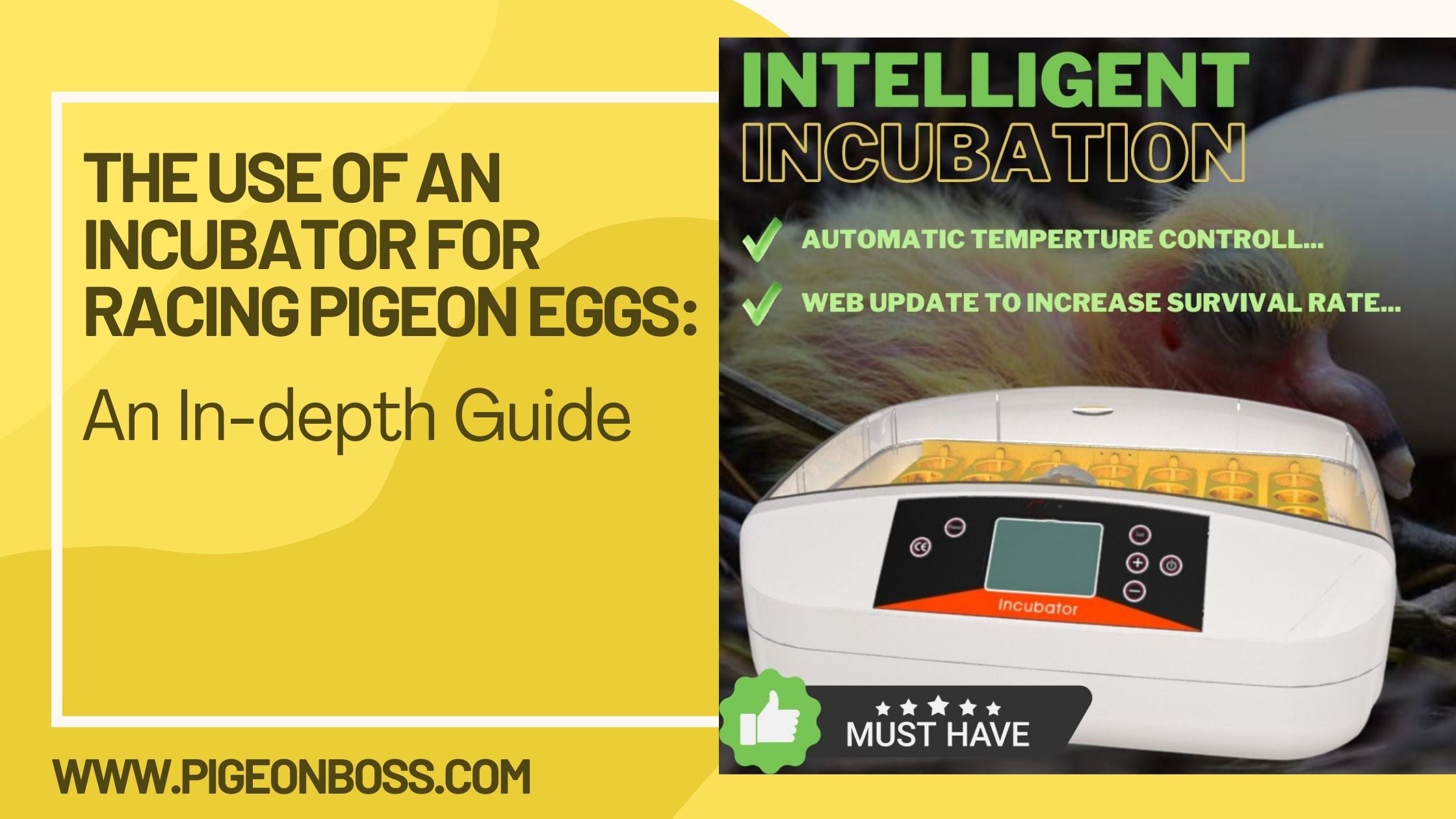 The Use of an Incubator for Racing Pigeon Eggs: An In-depth Guide