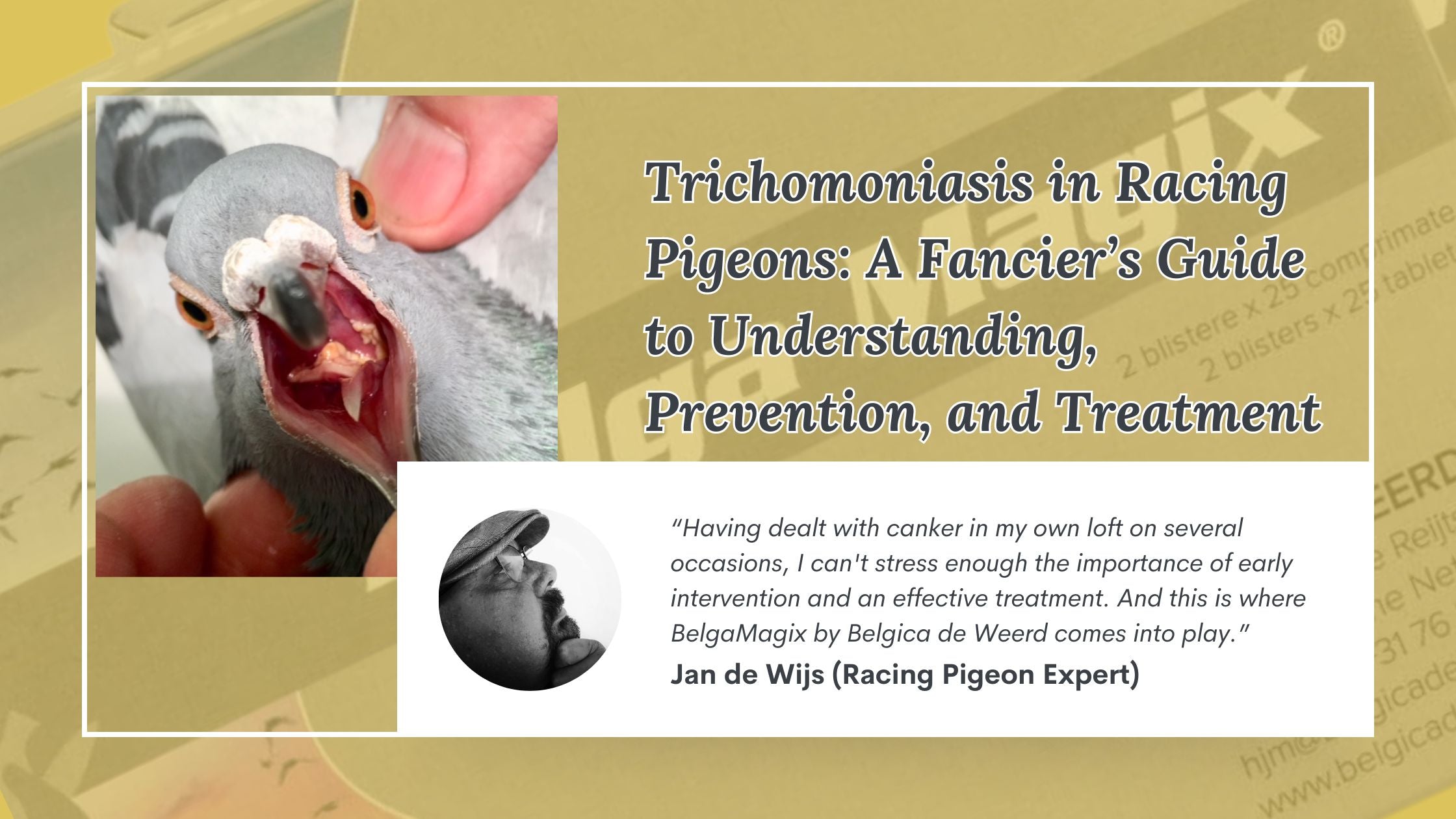Trichomoniasis in Racing Pigeons: A Fancier’s Guide to Understanding, Prevention, and Treatment