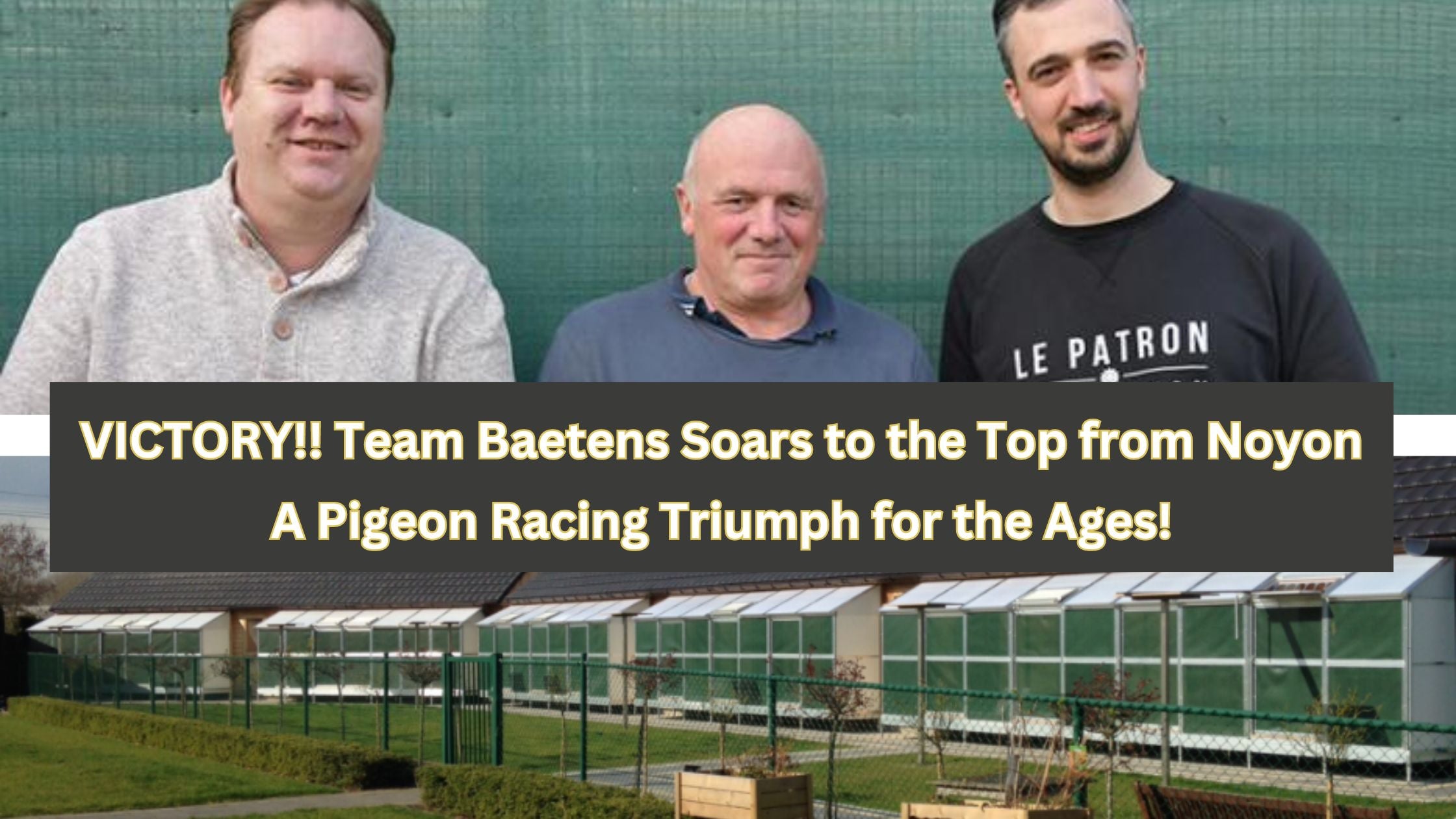 VICTORY!! Team Baetens Soars to the Top from Noyon – A Pigeon Racing Triumph for the Ages!