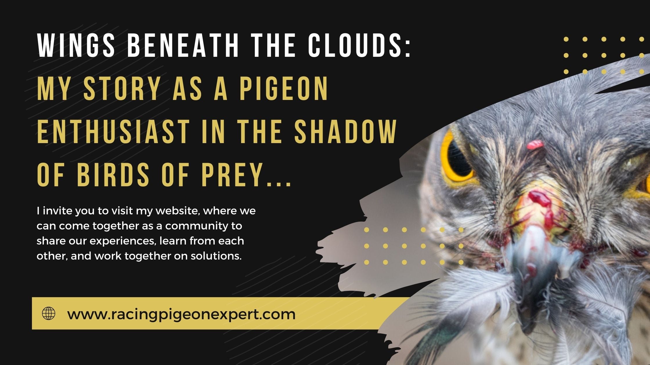 Wings Beneath the Clouds: My Story as a Pigeon Enthusiast in the Shadow of Birds of Prey