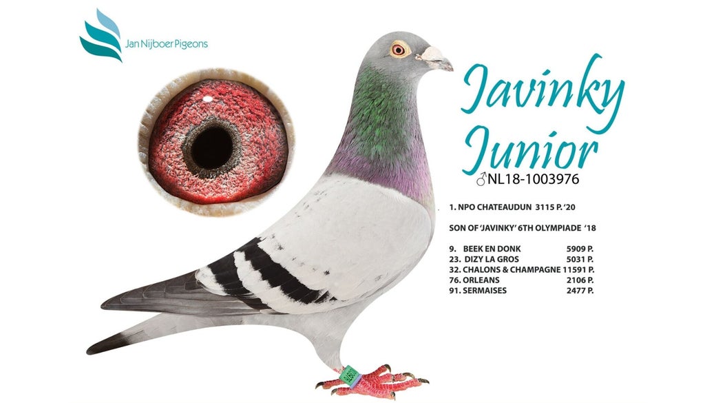 nl-18-1003976-javinky-junior-blog-banner-high