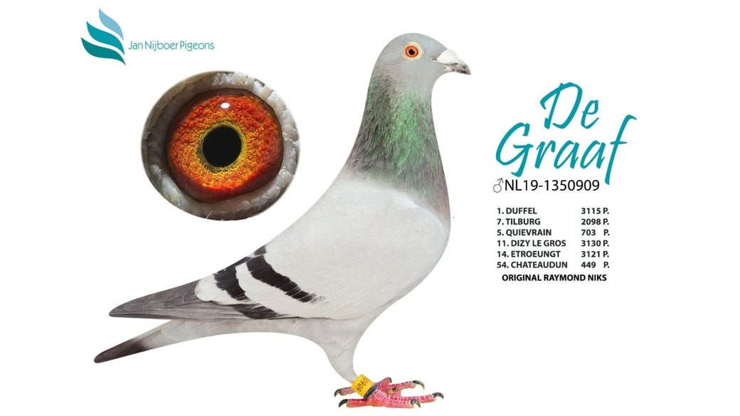 nl-19-1350909-de-graaf-blog-banner-high