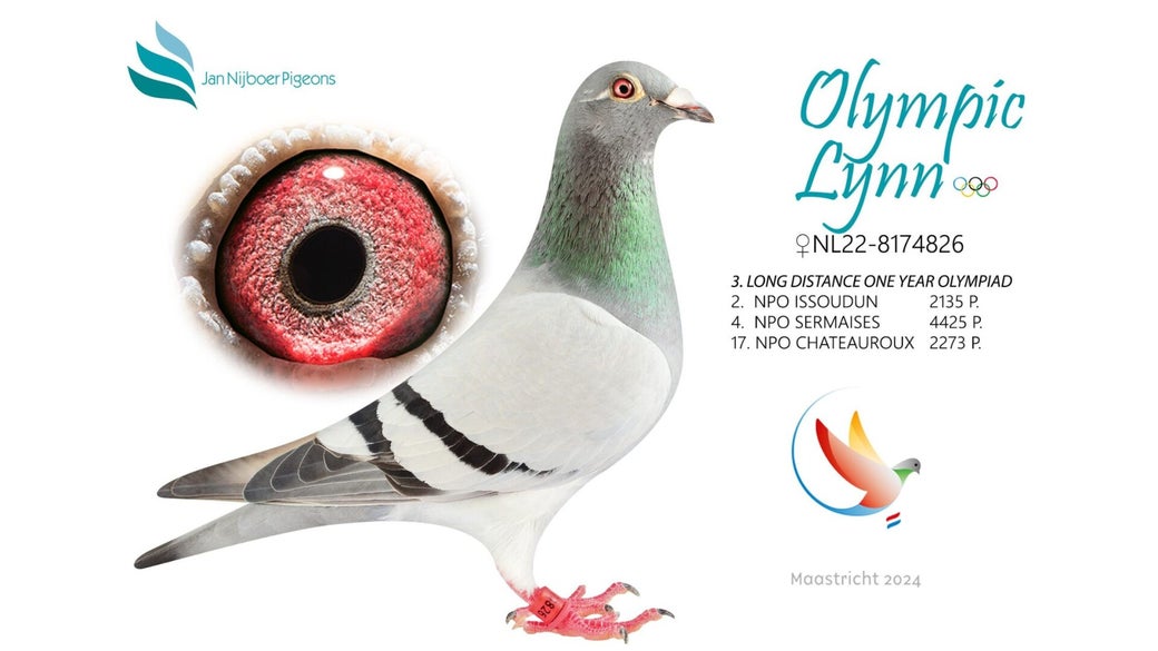 nl-22-8174826-olympic-lynn-blog-banner-high-jf7ak9