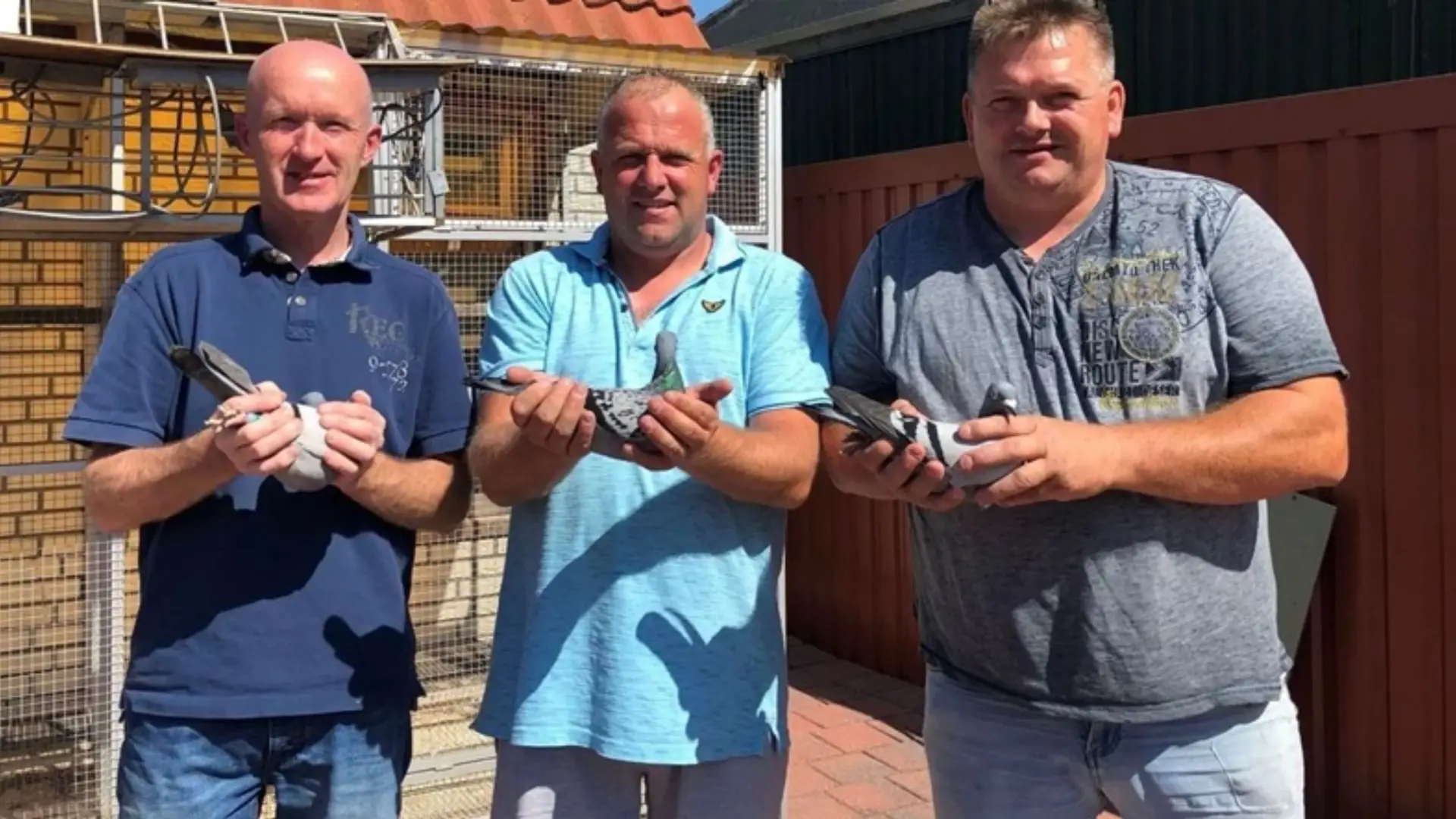 Appie Dunnink | Häkkinen (NL.14-1753569): The Undisputed Legend of Dutch Pigeon Racing