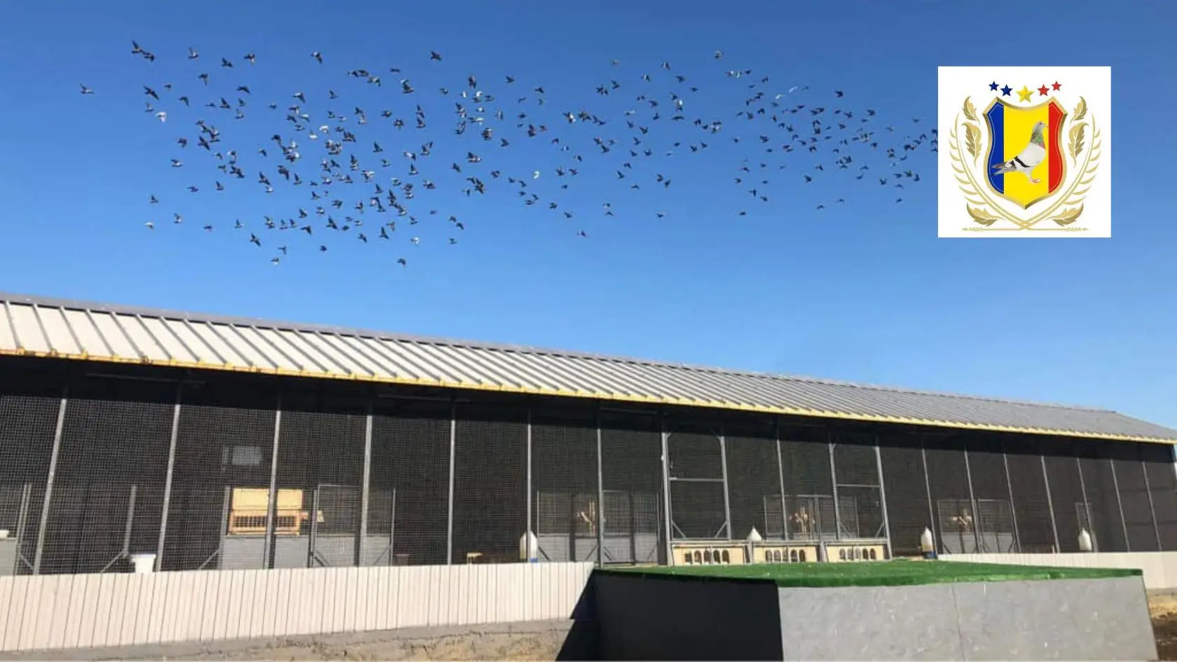 Derby Moldava Blog Banner