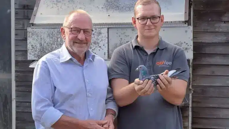 Perpignan 2025: Heikamp & van Doorn Conquer the International Stage – 1st National and 1st International Against 11,860 Pigeons!
