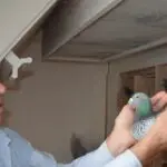 Marche, Hoekstra/Mendes da Costa (Ternaard) strikes with a masterful victory