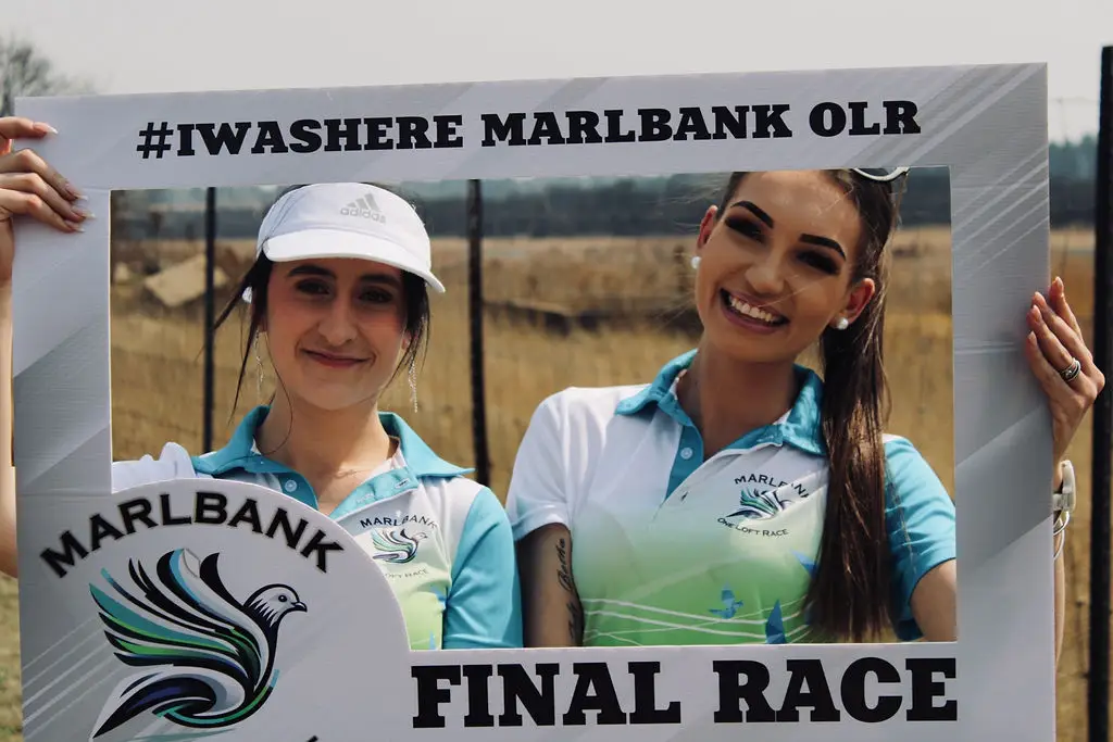 Marlbank 2026 1
