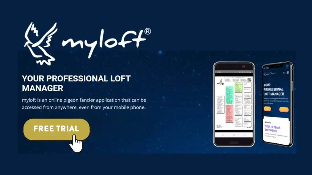 My Loft App Blog Banner