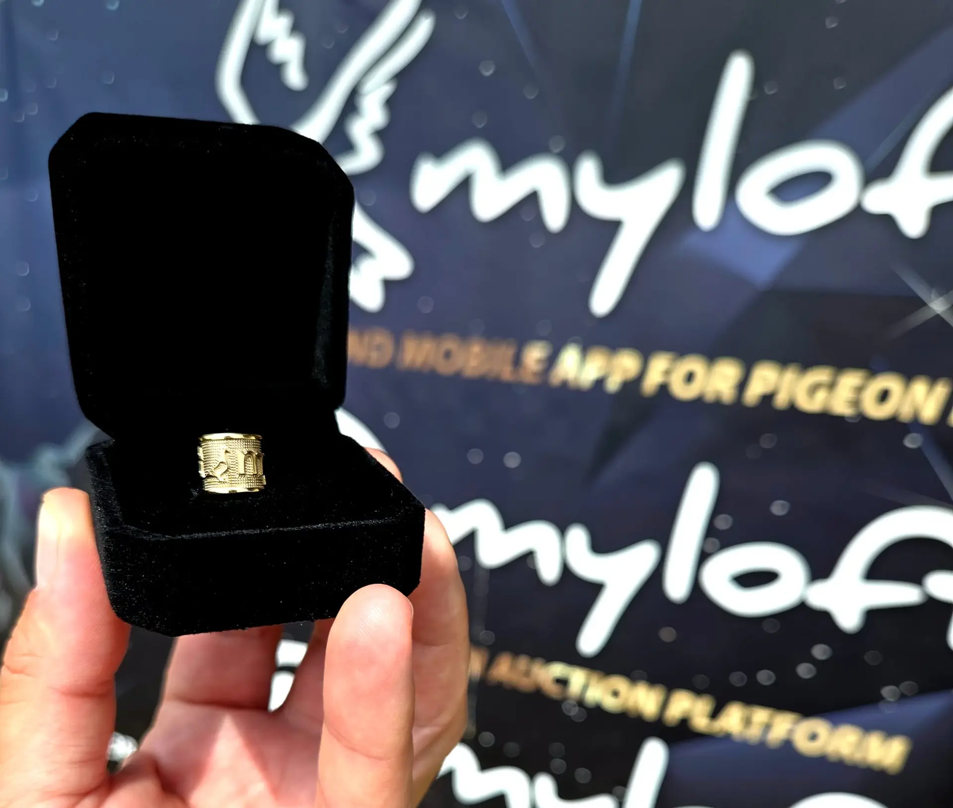 MyLoft Golden Rings OLR