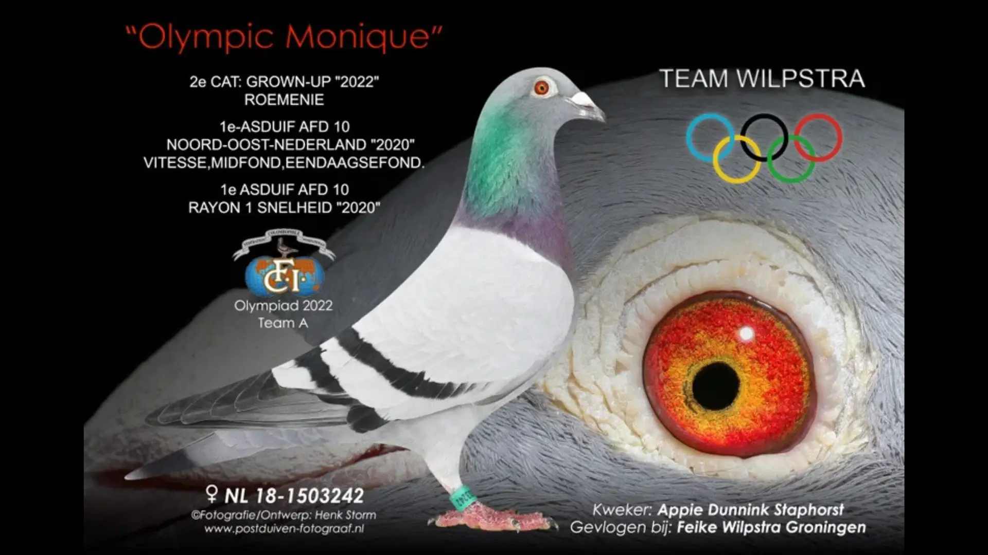 NL.18-1503242 Olympic Monique