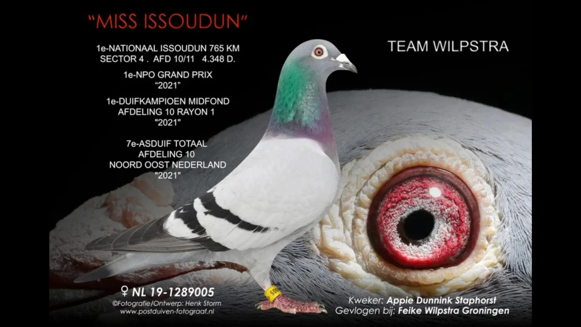 NL.19-1289005 Miss Issoudun
