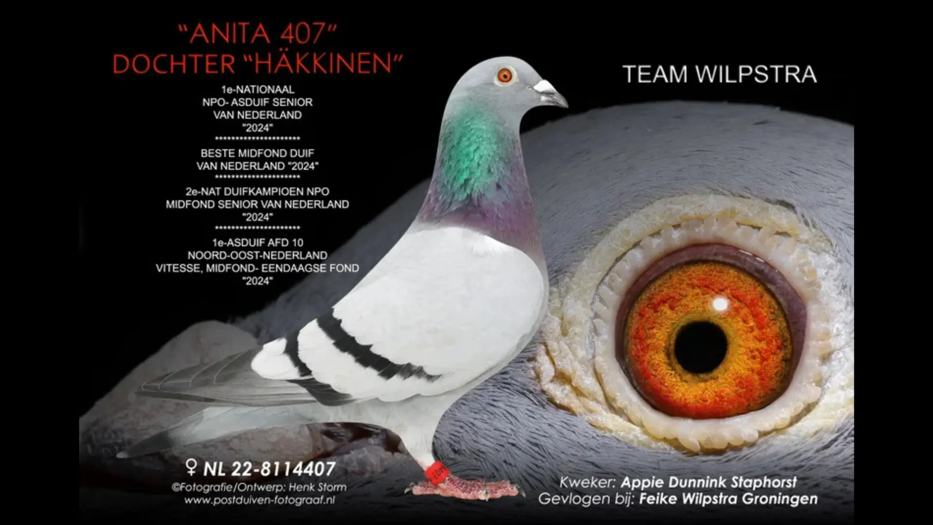 NL.22-8114407 Anita 407