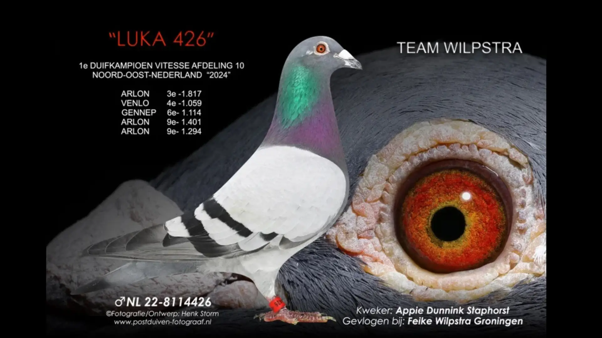NL.22-8114426 Luka 426