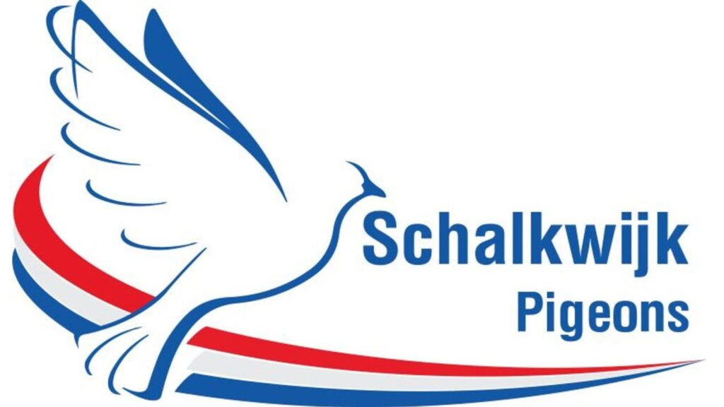 Schalkwijk Pigeons – Follow the journey