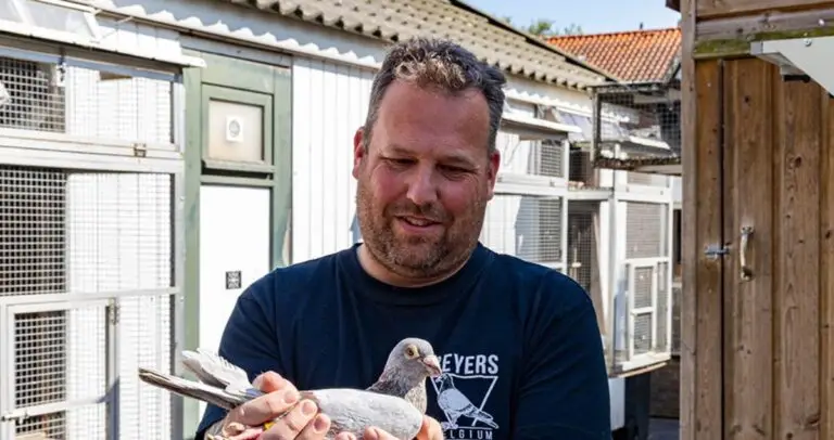 Double Thunderstrike from Tilburg! Strijbosch-Spierings Dominate Toury with 1st & 2nd Against 2,764 Pigeons!