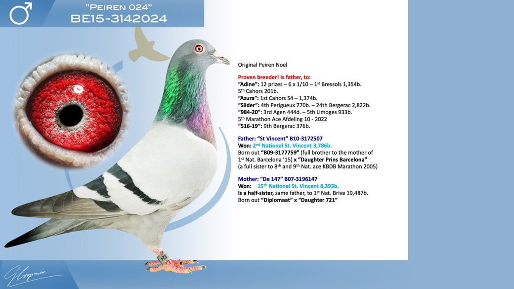 b-15-3142024-peiren-024-high
