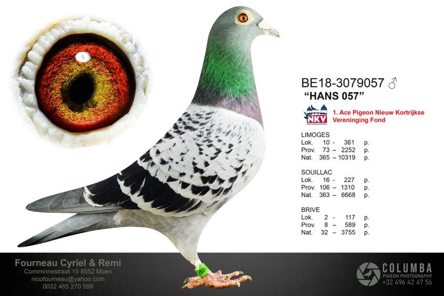 be-18-3079057-high