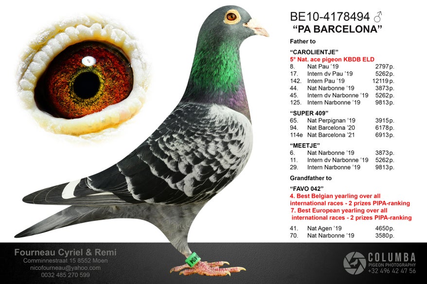be10-4178494_blanktxtprint-kopie-high
