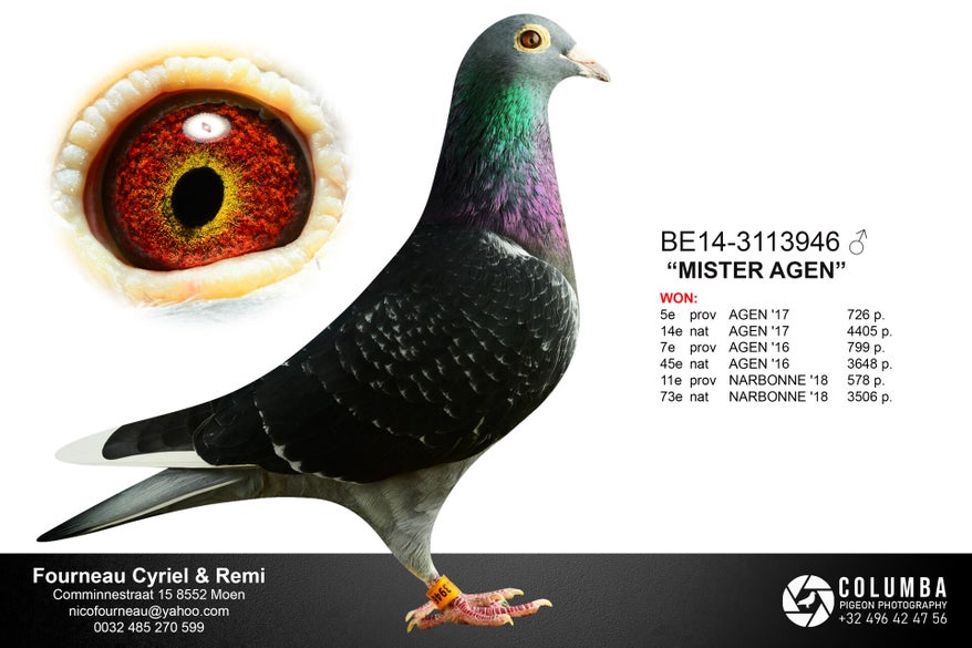 be14-3113946_blanktxtprint-high